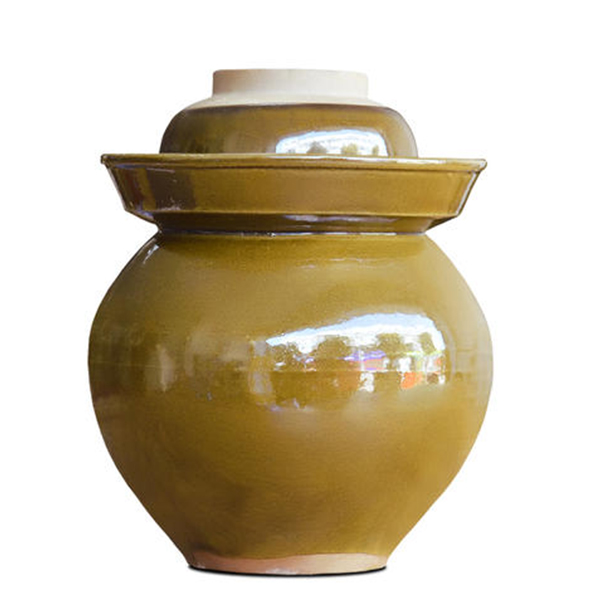 家用泡菜坛